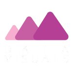 Data Visuals Logo - Contact Us